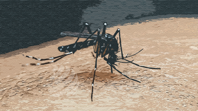 dengue-1761323669