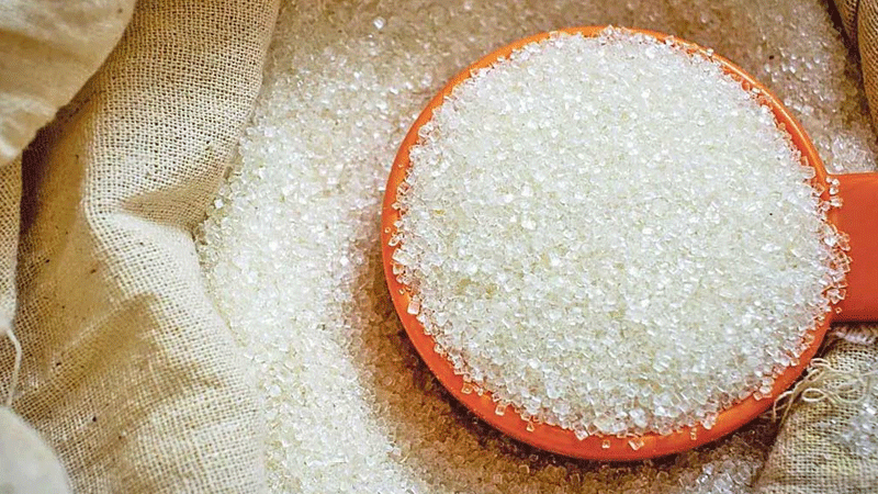 sugar-tyu-1760432790