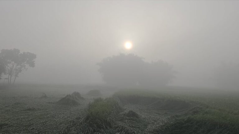 fog-1762233348